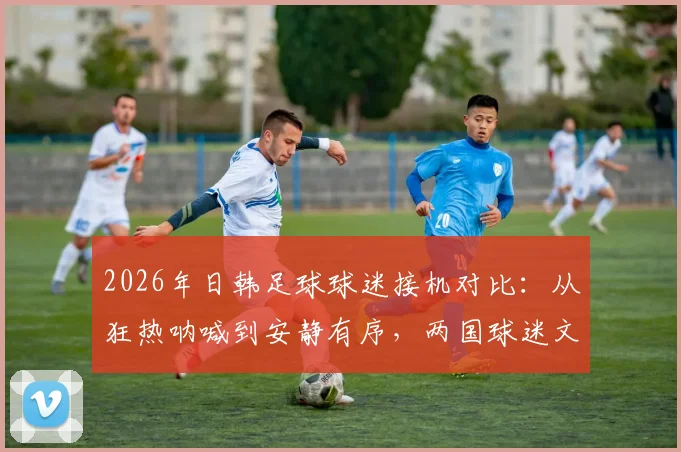 2026年日韩足球球迷接机对比：从狂热呐喊到安静有序，两国球迷文化差异到底在哪？